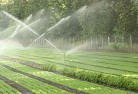 Doubleviewlandscaping-irrigation-11.jpg; ?>