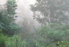 Doubleviewlandscaping-irrigation-4.jpg; ?>